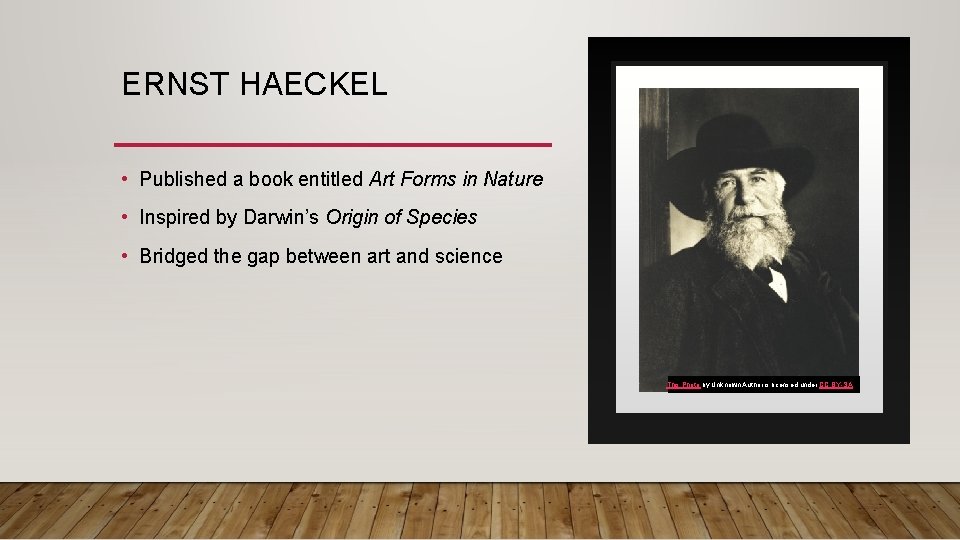 ERNST HAECKEL • Published a book entitled Art Forms in Nature • Inspired by