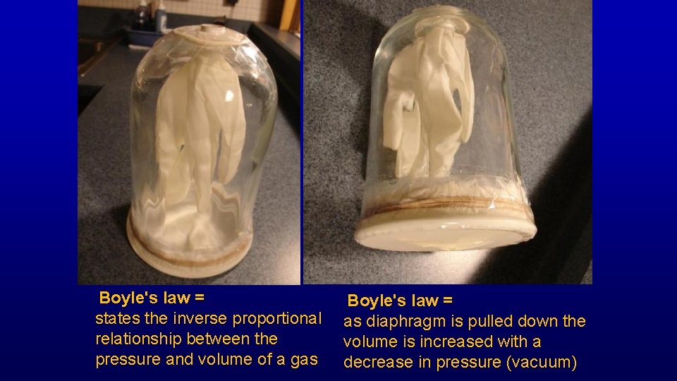Boyle's law = states the inverse proportional relationship between the pressure and volume of