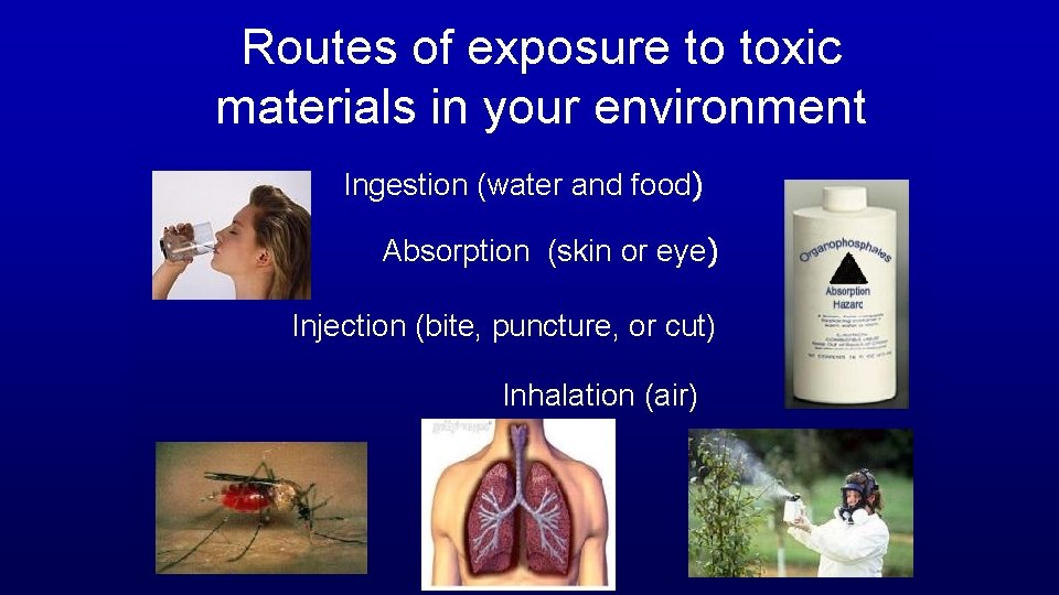 Routes of exposure to toxic materials in your environment Ingestion (water and food) Absorption