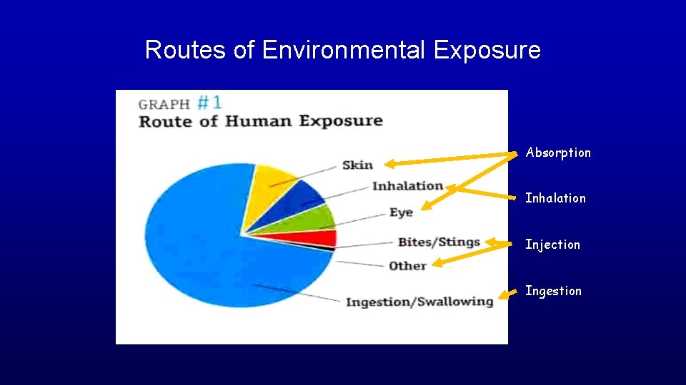 Routes of Environmental Exposure Absorption Inhalation Injection Ingestion 
