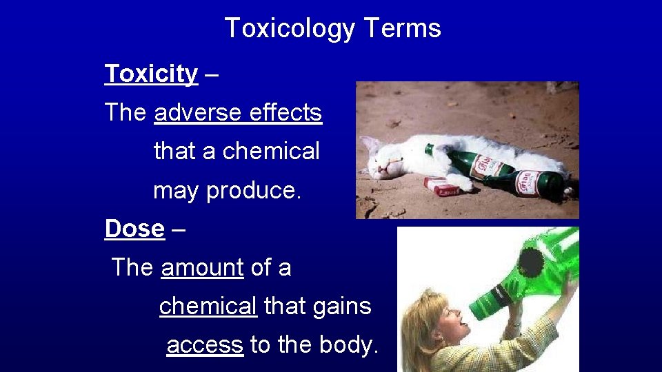 Toxicology Terms Toxicity – The adverse effects that a chemical may produce. Dose –