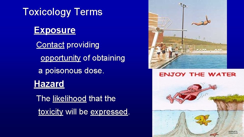 Toxicology Terms Exposure Contact providing opportunity of obtaining a poisonous dose. Hazard The likelihood