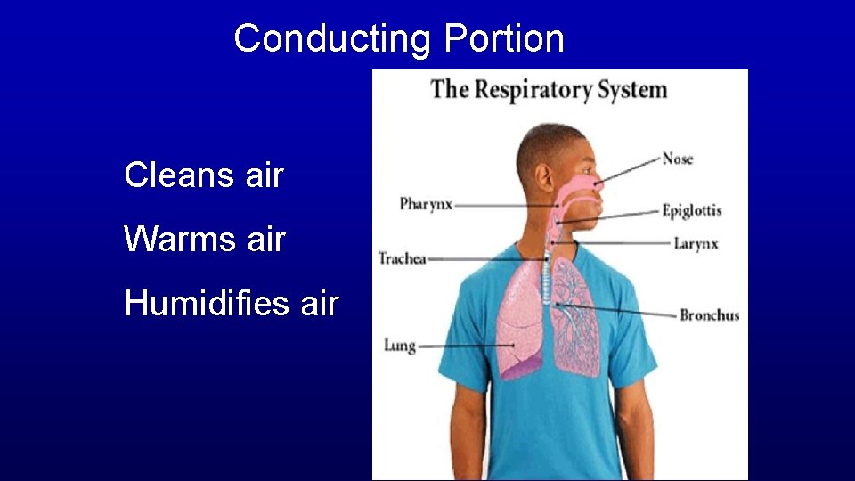 Conducting Portion Cleans air Warms air Humidifies air 