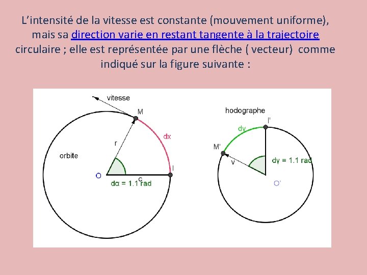 L’intensité de la vitesse est constante (mouvement uniforme), mais sa direction varie en restant