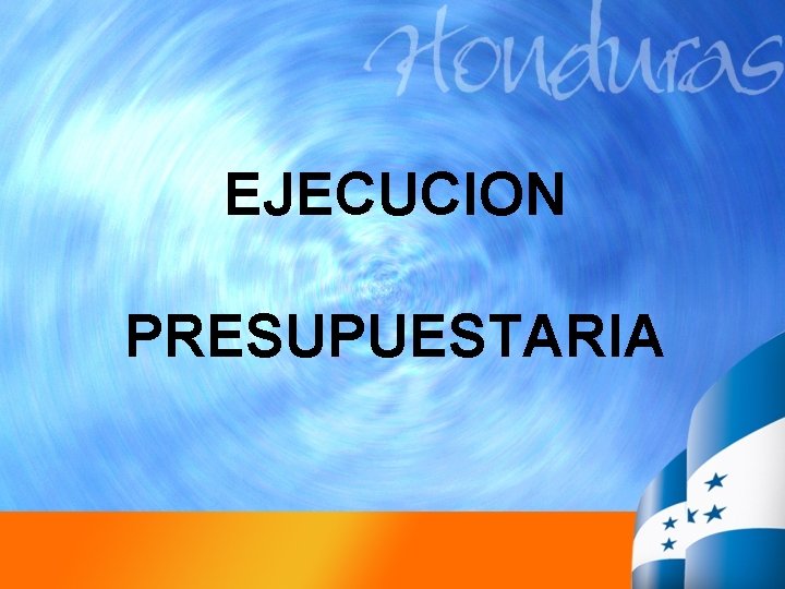 EJECUCION PRESUPUESTARIA 