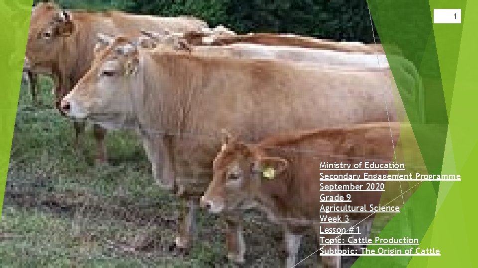 1 Ministry of Education Secondary Engagement Programme September 2020 Grade 9 Agricultural Science Week