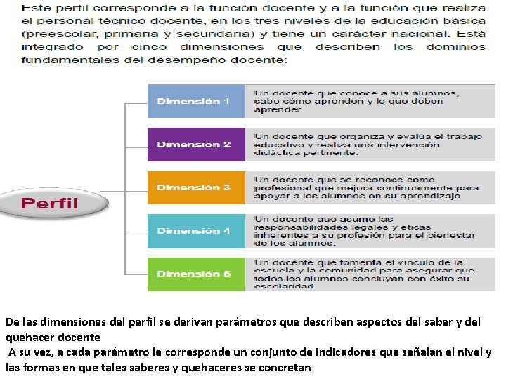 De las dimensiones del perfil se derivan parámetros que describen aspectos del saber y