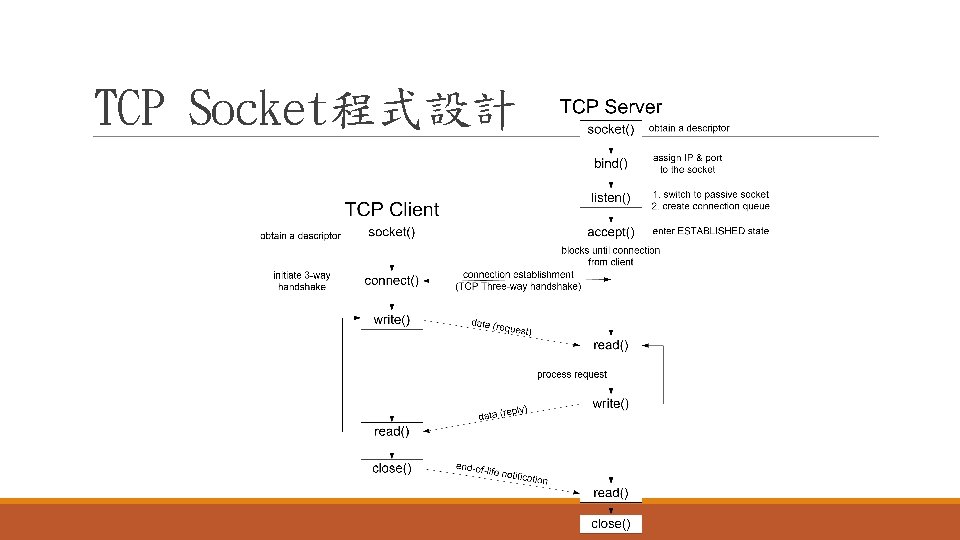 TCP Socket程式設計 