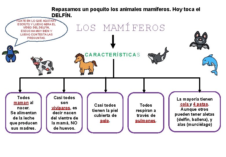 Repasamos un poquito los animales mamíferos. Hoy toca el DELFÍN. FÍJATE EN LO QUE