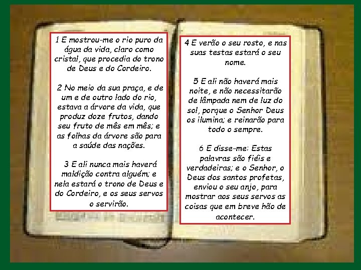 1 E mostrou-me o rio puro da água da vida, claro como cristal, que