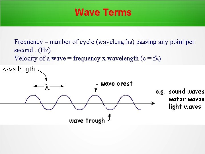 Wave Terms Frequency – number of cycle (wavelengths) passing any point per second. (Hz)