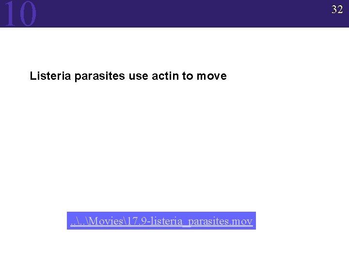 10 32 Listeria parasites use actin to move . . Movies17. 9 -listeria_parasites. mov
