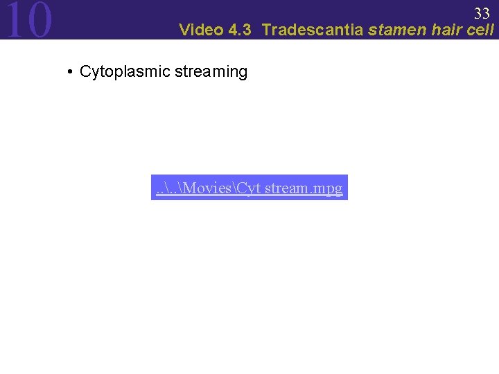 10 33 Video 4. 3 Tradescantia stamen hair cell • Cytoplasmic streaming . .