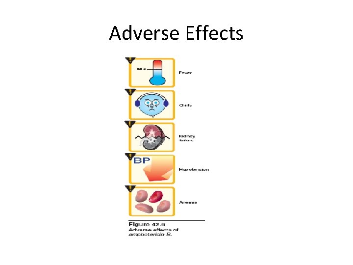 Adverse Effects 