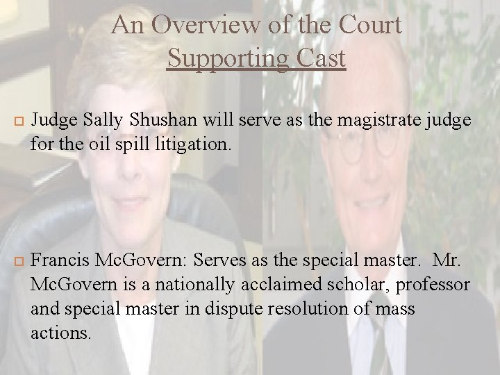 An Overview of the Court Supporting Cast Judge Sally Shushan will serve as the