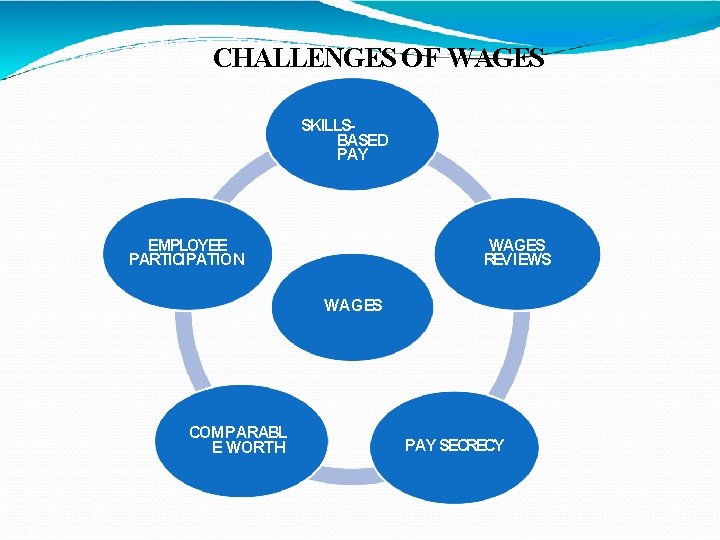 CHALLENGES OF WAGES SKILLSBASED PAY EMPLOYEE PARTICIPATION WAGES REVIEWS WAGES COMPARABL E WORTH PAY CHALLENGES OF WAGES SKILLSBASED PAY EMPLOYEE PARTICIPATION WAGES REVIEWS WAGES COMPARABL E WORTH PAY