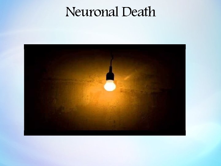 Neuronal Death 