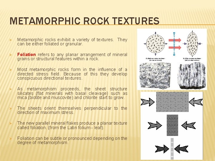 METAMORPHIC ROCK TEXTURES Ø Metamorphic rocks exhibit a variety of textures. They can be