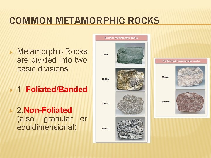 COMMON METAMORPHIC ROCKS Ø Metamorphic Rocks are divided into two basic divisions Ø 1.