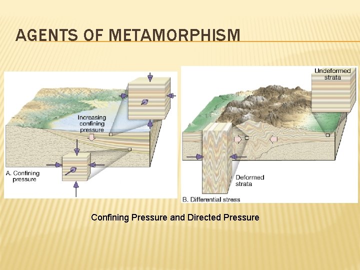 AGENTS OF METAMORPHISM Confining Pressure and Directed Pressure 