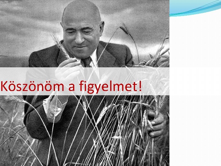 Köszönöm a figyelmet! 