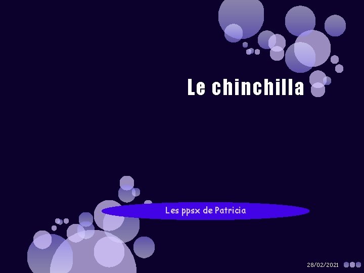 Le chinchilla Les ppsx de Patricia 28/02/2021 