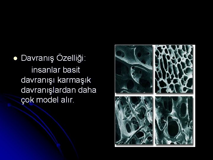 l Davranış Özelliği: insanlar basit davranışı karmaşık davranışlardan daha çok model alır. 