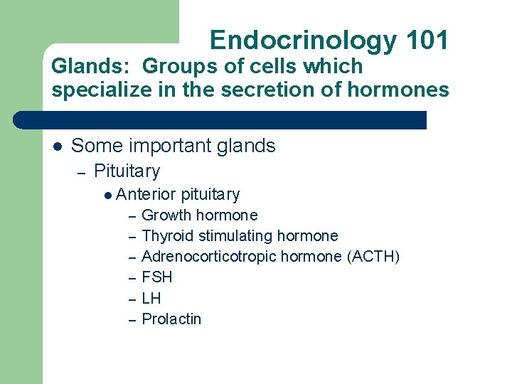 Endocrinology 101 Glands: Groups of cells which specialize in the secretion of hormones l Endocrinology 101 Glands: Groups of cells which specialize in the secretion of hormones l