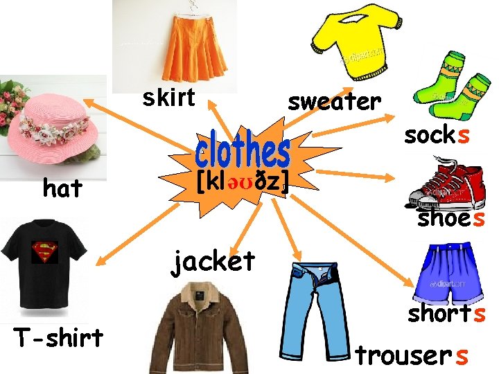 sweater skirt hat socks [kləʊðz] shoes jacket T-shirt short s trouser s 