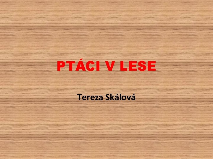 PTÁCI V LESE Tereza Skálová 