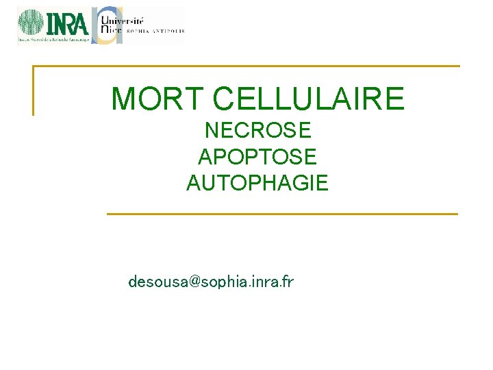 MORT CELLULAIRE NECROSE APOPTOSE AUTOPHAGIE desousa@sophia. inra. fr 