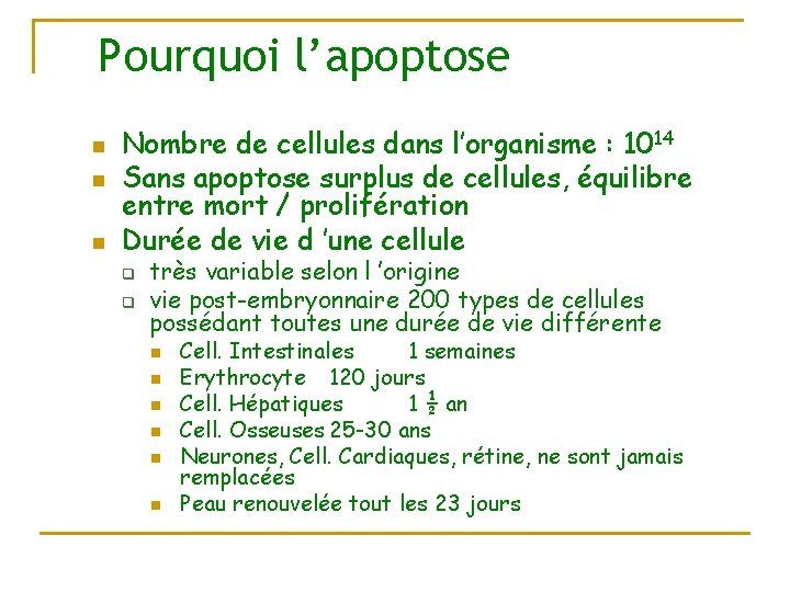 Pourquoi l’apoptose n n n Nombre de cellules dans l’organisme : 1014 Sans apoptose