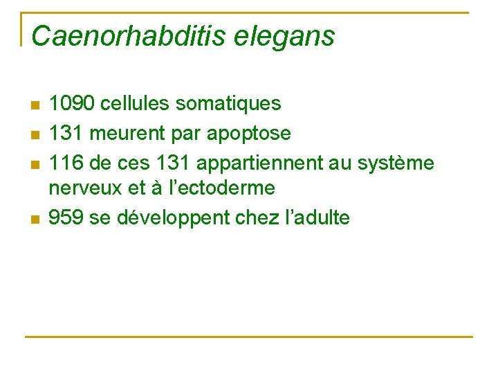 Caenorhabditis elegans n n 1090 cellules somatiques 131 meurent par apoptose 116 de ces