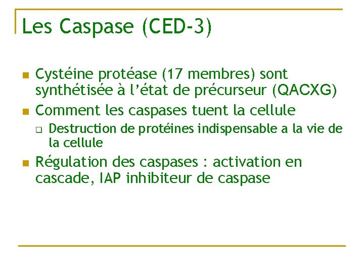 Les Caspase (CED-3) n n Cystéine protéase (17 membres) sont synthétisée à l’état de