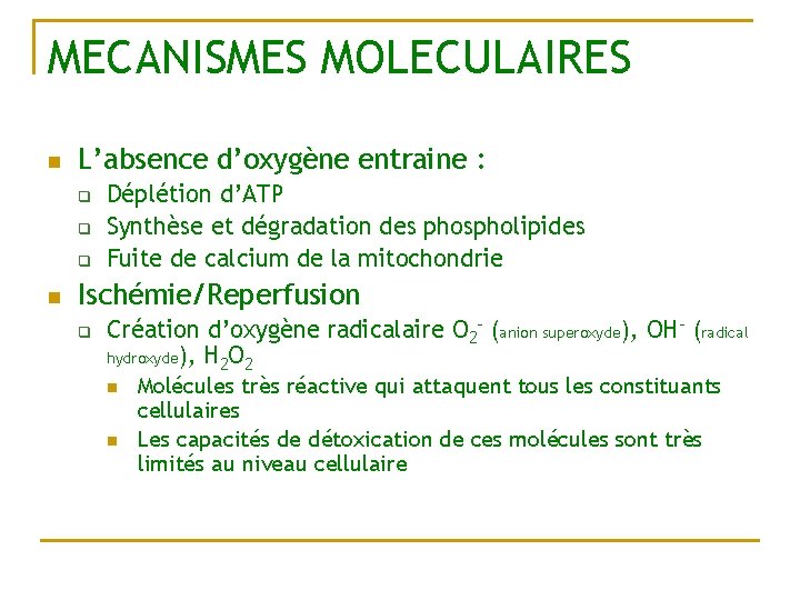 MECANISMES MOLECULAIRES n L’absence d’oxygène entraine : q q q n Déplétion d’ATP Synthèse