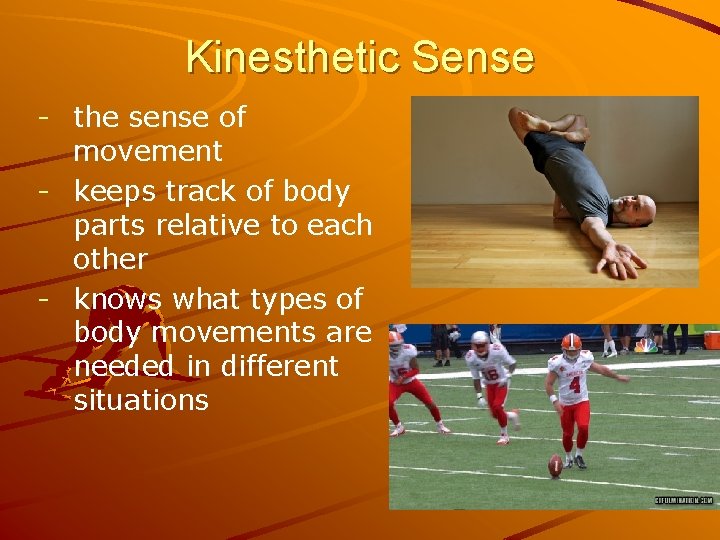Kinesthetic Sense - the sense of movement - keeps track of body parts relative