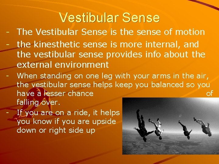 Vestibular Sense - The Vestibular Sense is the sense of motion - the kinesthetic