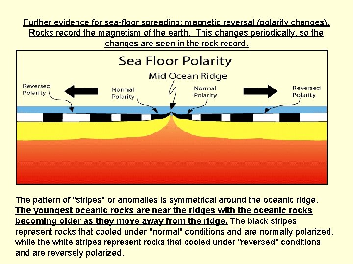 Further evidence for sea-floor spreading: magnetic reversal (polarity changes). Rocks record the magnetism of