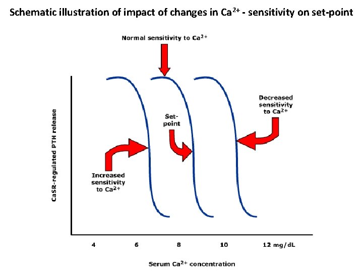 Schematic illustration of impact of changes in Ca 2+ - sensitivity on set-point 