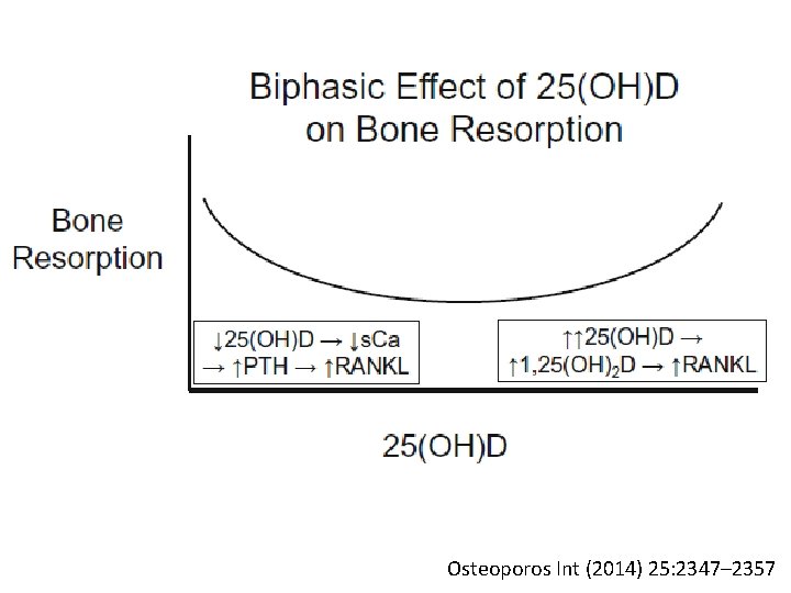 Osteoporos Int (2014) 25: 2347– 2357 