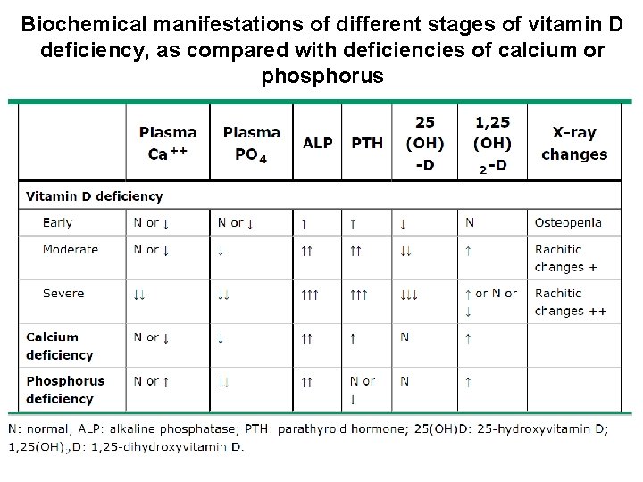 Biochemical manifestations of different stages of vitamin D deficiency, as compared with deficiencies of