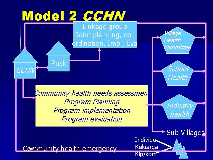 Model 2 CCHN Linkage group Joint planning, coordination, Impl, Eva CCHN Pusk School Health
