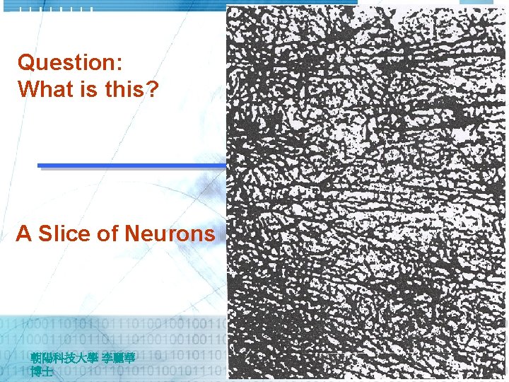 Question: What is this? A Slice of Neurons 朝陽科技大學 李麗華 博士 Question: What is this? A Slice of Neurons 朝陽科技大學 李麗華 博士