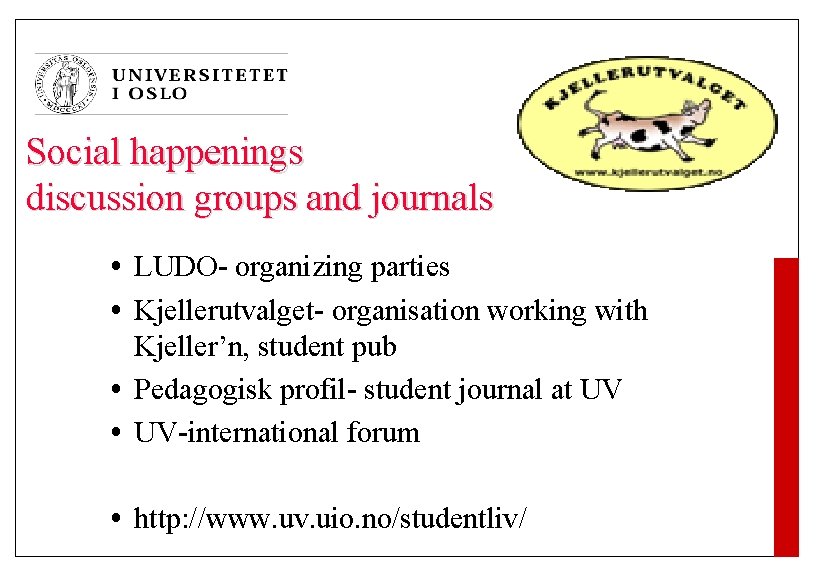 Social happenings discussion groups and journals LUDO- organizing parties Kjellerutvalget- organisation working with Kjeller’n,