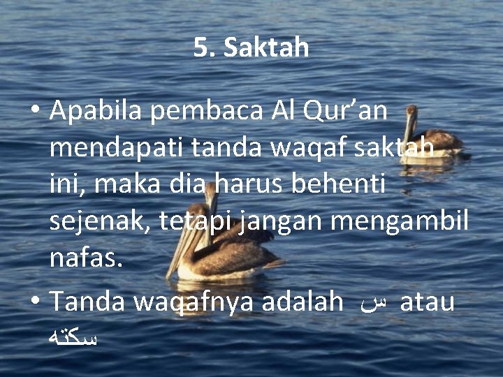 5. Saktah • Apabila pembaca Al Qur’an mendapati tanda waqaf saktah ini, maka dia