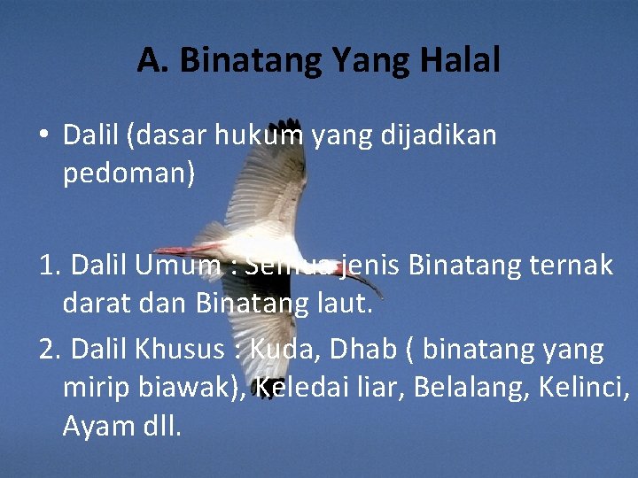 A. Binatang Yang Halal • Dalil (dasar hukum yang dijadikan pedoman) 1. Dalil Umum