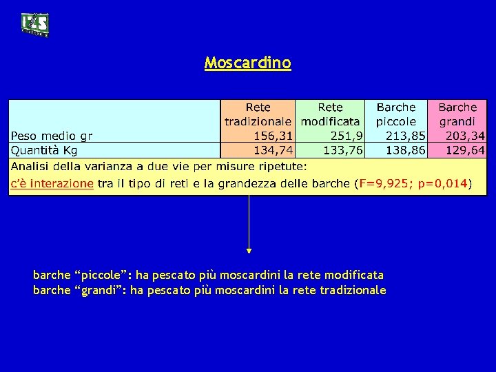 Moscardino barche “piccole”: ha pescato più moscardini la rete modificata barche “grandi”: ha pescato