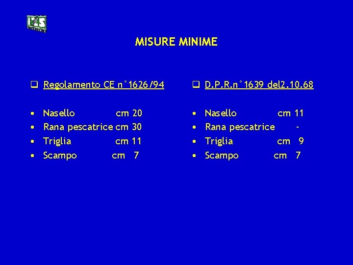 MISURE MINIME q Regolamento CE n° 1626/94 q D. P. R. n° 1639 del