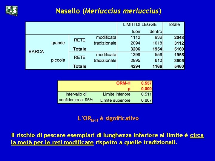 Nasello (Merluccius merluccius) L’ORM-H è significativo Il rischio di pescare esemplari di lunghezza inferiore