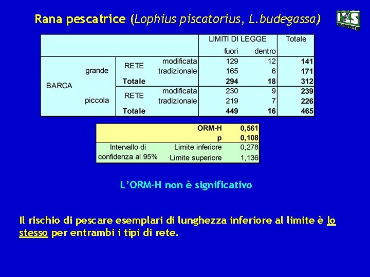 Rana pescatrice (Lophius piscatorius, L. budegassa) L’ORM-H non è significativo Il rischio di pescare